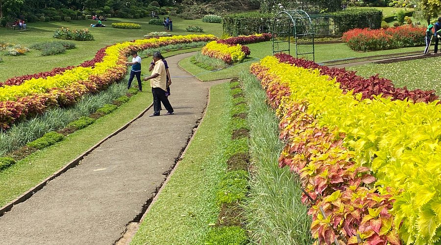 peradeniya botanical gardens
