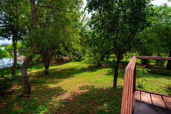 Kulu Safaris’ paradigm is to seamlessly blend the adventure of a Sri Lankan safari with exceptionally comfortable accommodation, while minimizing our ecological footprint, to offer you the definitive wildlife experience.