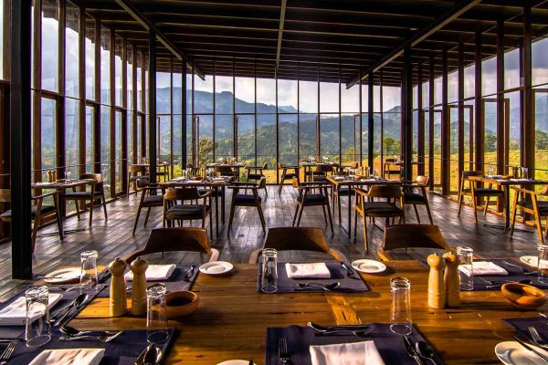 the-restaurant-d